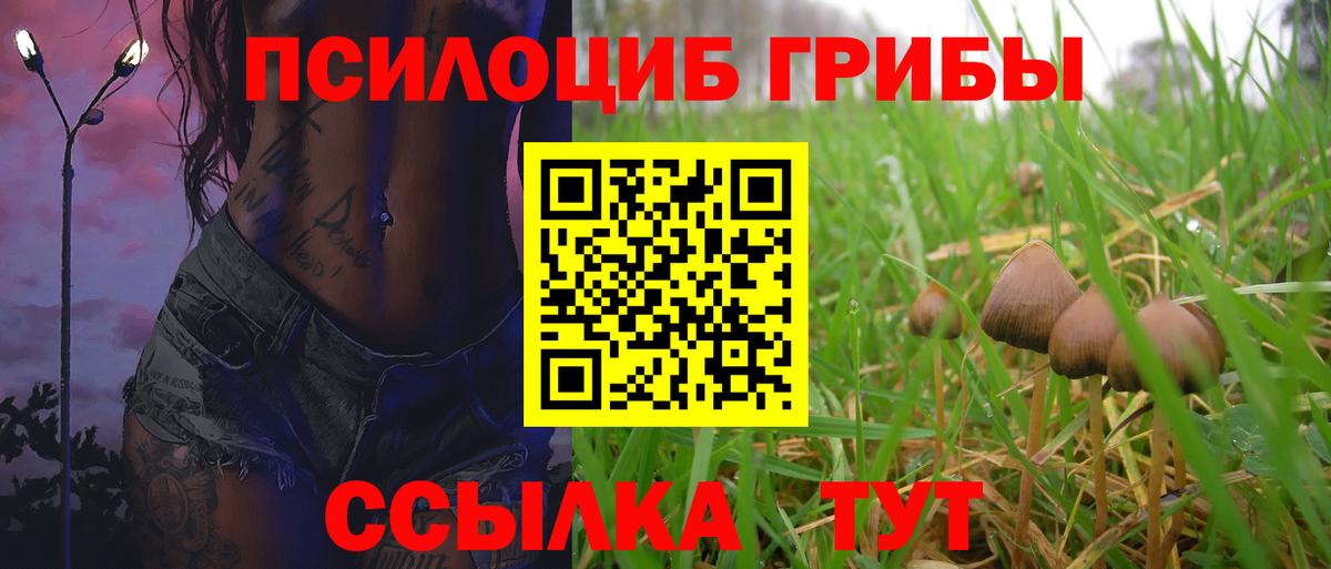 Псилоцибиновые грибы мухоморы Йошкар-Ола